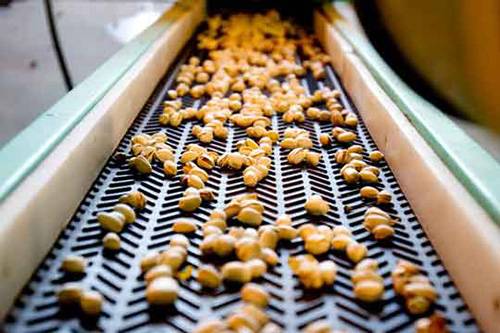 تسمه نقاله خشکبار تسمه نقاله خشکبار